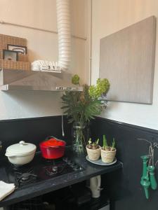 a kitchen with a counter with potted plants on it at Casa Elburg in Elburg