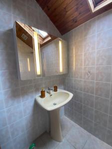 La salle de bains est pourvue d'un lavabo et d'un miroir. dans l'établissement Gîte de la Borderie, à Saint-Silvain-sous-Toulx