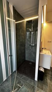 La salle de bains est pourvue d'une douche et d'un lavabo. dans l'établissement Katrine, à Saint-Étienne