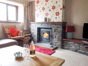 a living room with a fireplace with a bottle of wine on a table at Haulfryn in Bangor