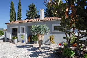 una casa con una palma di fronte di Belle Villa moderne avec piscine et jardin a Solliès-Pont