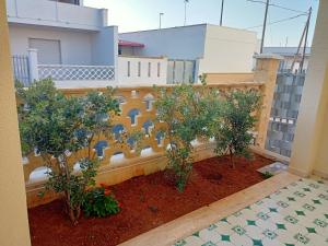 a garden with trees on a balcony with a building at Casa Vacanze da Lui' in Torre Lapillo +30 photos