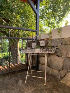 a table with a plant on it next to a stone wall at Kuca za iznajmljivanje ANDRIJA in Ljubuški