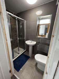 a bathroom with a shower and a toilet and a sink at The Ruislip Apartment in Ruislip