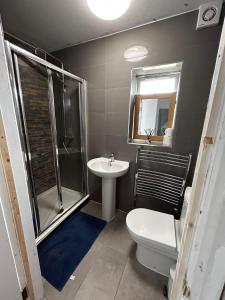 a bathroom with a toilet and a shower and a sink at The Ruislip Apartment in Ruislip