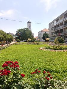 Zahrada ubytování Apartman U2