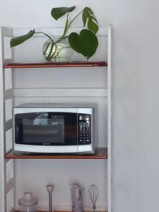 盧漢的住宿－Departamento impecable. con cochera，架子上的微波炉,上面有植物