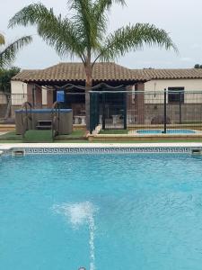 a swimming pool with a palm tree in front of a building at Residencial La Teja in Zahora