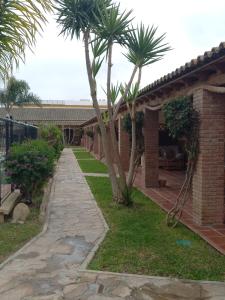 サオラにあるResidencial La Tejaの椰子の木があるレンガ造りの家
