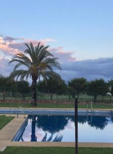 a palm tree sitting next to a swimming pool at Casa Algarrobo Golf - El Toyo - PN Cabo de Gata in Almería