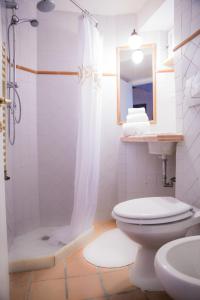 a bathroom with a shower and a toilet and a sink at Campo De Fiori Apartment in Rome