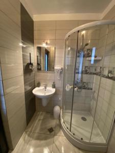 a bathroom with a shower and a sink at Casa Diana in Mihai Viteazu