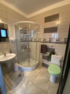 a bathroom with a shower and a toilet and a sink at Casa Diana in Mihai Viteazu