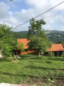 Blick auf ein Haus auf einem Feld mit Bäumen in der Unterkunft Brvnara Ruska sauna in Čajetina