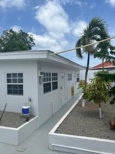 a white building with a palm tree in front of it at Klip lagoon apartsments in Oranjestad