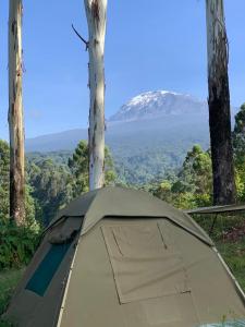 a tent with a view of a mountain in the background at Kilimanjaro Mountain View Campsite 