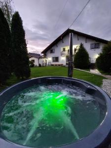un oggetto verde in una piscina d'acqua di fronte a una casa di Vila Maria Săsciori Sebeş a Săsciori