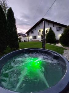 un objeto verde en un charco de agua frente a una casa en Vila Maria Săsciori Sebeş, en Săsciori