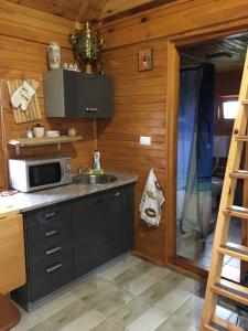 eine Küche mit einer Spüle und einer Mikrowelle in der Unterkunft Brvnara Ruska sauna in Čajetina
