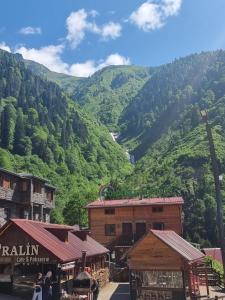 a view of a mountain with trees and buildings at Ayder Rainbow Gokkusagi in Ayder Yaylasi