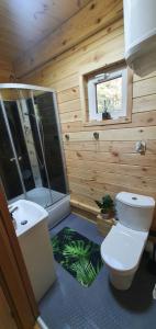 a bathroom with a toilet and a shower and a floor at Leśne Zacisze in Łuka +9 photos