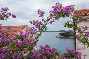 a view of a body of water with purple flowers at Villa AMICA in Zaton