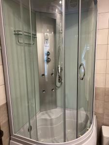 a shower with a glass door in a bathroom at Apartament Darius in Moieciu de Sus