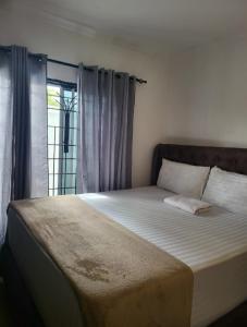 1 dormitorio con 1 cama grande y ventana en Mkamiti Villa - Airport Villa with Free Shuttle, en Dar es Salaam