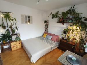 a bedroom with a bed and lots of plants at Instytut Zdrowia i Hortiterapii in Mrągowo