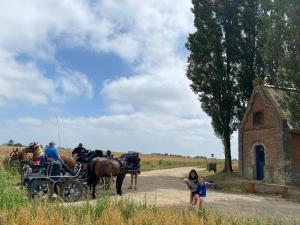 Hóspedes ficando em Gîte l' Ancien Four - De Bakoven