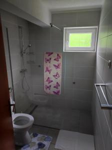 a bathroom with a shower and a toilet and a window at Apartment Sanja in Smoljanac