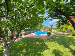 una piscina en un patio con un árbol en Casa Fanny, en Castelnuovo del Garda