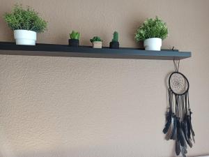 a shelf with plants and a clock on a wall at Piso céntrico Calma Costera in Santander