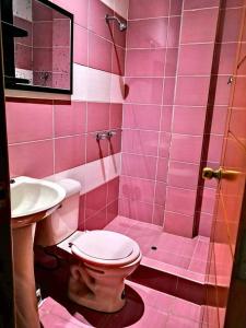 y baño de color rosa con aseo y ducha. en Apartamento Banda de Shilcayo, en Tarapoto