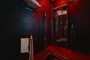 Ένα μπάνιο στο la terrazza nel centro +39 φωτογραφίες