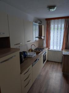 Kjøkken eller kjøkkenkrok på Apartment Sanja