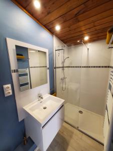 y baño con lavabo blanco y ducha. en Studio - Chalet indépendant, en Décines-Charpieu