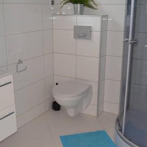 Vannituba majutusasutuses Domki I apartamenty Mila