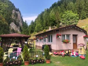 a house with a garden in front of it at Apartament Darius in Moieciu de Sus