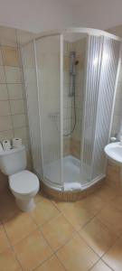 uma casa de banho com um chuveiro, um WC e um lavatório. em Alíz Apartman em Zalakaros