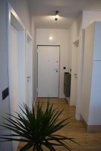 Fotografia z galérie ubytovania Apartman Oneum v Omise