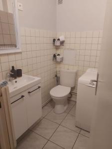史特拉斯堡的住宿－Studio lumineux，白色的浴室设有卫生间和水槽。