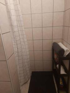 een kleine badkamer met een witte betegelde douche en een plank bij Studio lumineux in Straatsburg