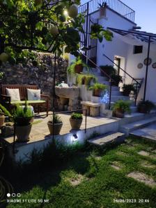 特里卡塞的住宿－Corte Piri，一座房子楼梯上种有盆栽植物的庭院