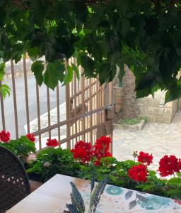 Zahrada ubytování FUNTANA-MIA ROOMS B&B