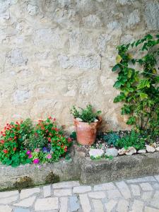 Zahrada ubytování FUNTANA-MIA ROOMS B&B
