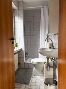 a bathroom with a toilet and a sink at Weserbutze in Bodenwerder