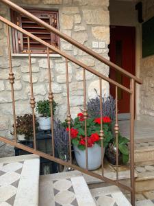 Fotografie z fotogalerie ubytování FUNTANA-MIA ROOMS B&B v destinaci Funtana