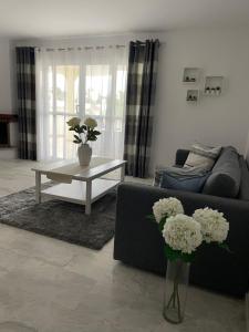 Гостиная зона в Jardines Apartment