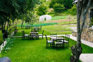 HANI CEPIT في Librazhd: مجموعة طاولات وكراسي في العشب